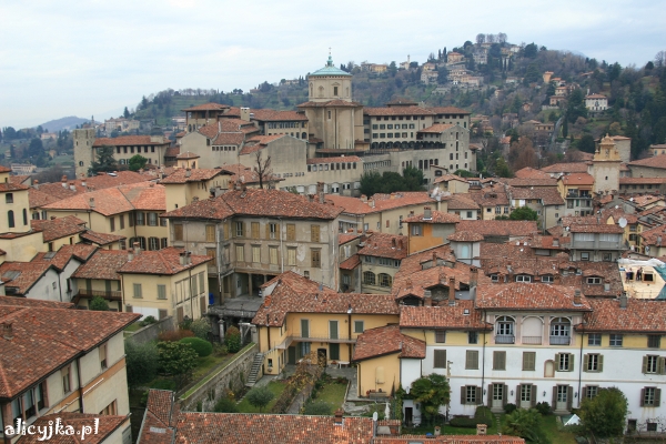 bergamo